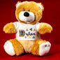 Personalised Celtic Mascot